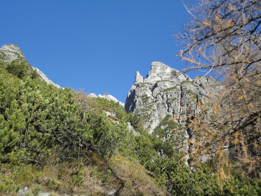 Gasthof Brentwirt Guest House Леоганг Екстериор снимка