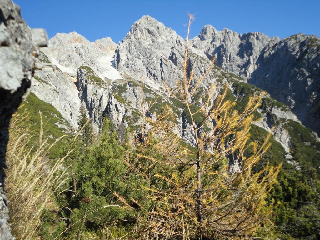 Gasthof Brentwirt Guest House Леоганг Екстериор снимка
